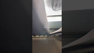 日常Vlog #vlog #ルーティン #ばずれ #一人暮らし #fyp