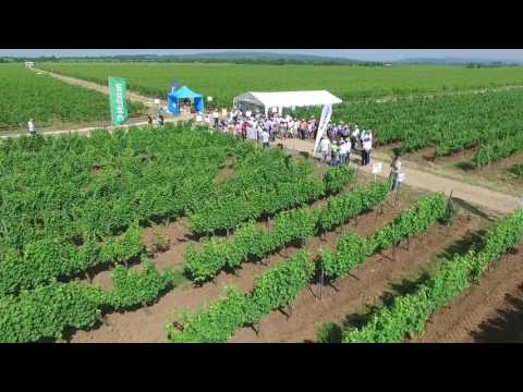 Agro Fest - Dragosloveni, Vrancea