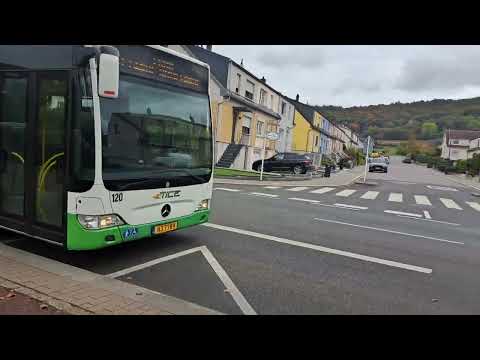 Mercedes citaro G FACELIGHT O530 ( T. 120 )