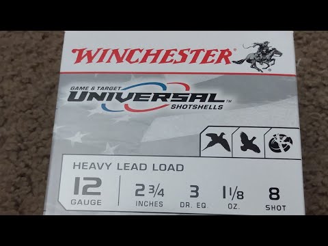 Intro Winchester SXP