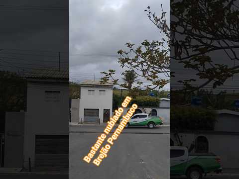 #nublado #árvore#brejão #agreste#pernambucano