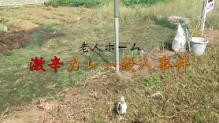 激辛アナルカレー殺人事件