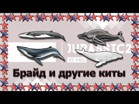 Русская Рыбалка 3.99 Брайд и другие киты. Ночной стрим