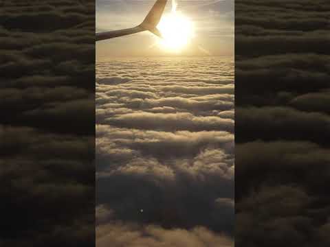 What Does It Mean When You Dream About Missing a Flight #shorts