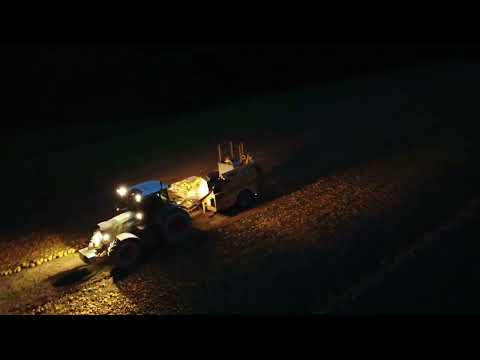 Kürbisernte in der Südoststeiermark 🎃