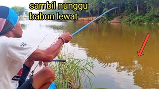 Download lagu Danau sepi pemancing‼️Mancing ikan lohan sambil nunggu babon muncul  mp3
