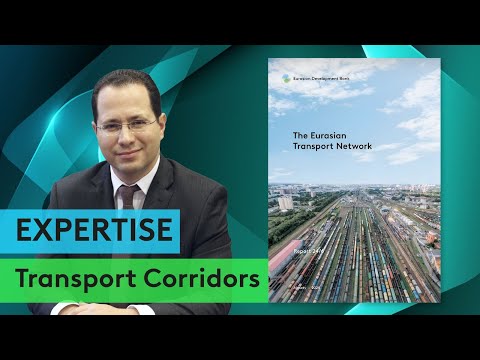 The Eurasian Transport Network