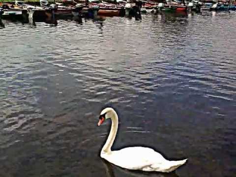 23082009 004....Beautiful Galway - Commercial Boat Club