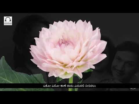 Nannede Kogileya - High Quality Kannada Stereo Songs