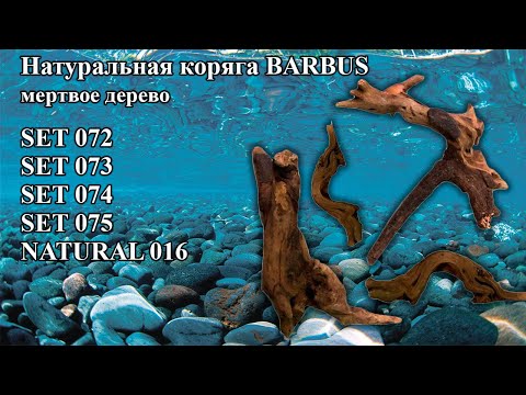Натуральная коряга Barbus МЕРТВОЕ ДЕРЕВО ~20 см 5кг упаковка