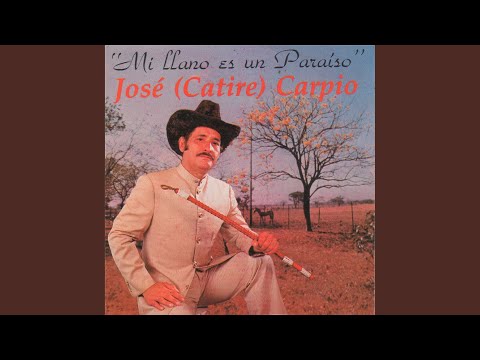 Traigo Polvo Del Camino