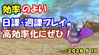 【ドラクエ10生配信No.315】効率のよい日課・週課など　2026.5.10