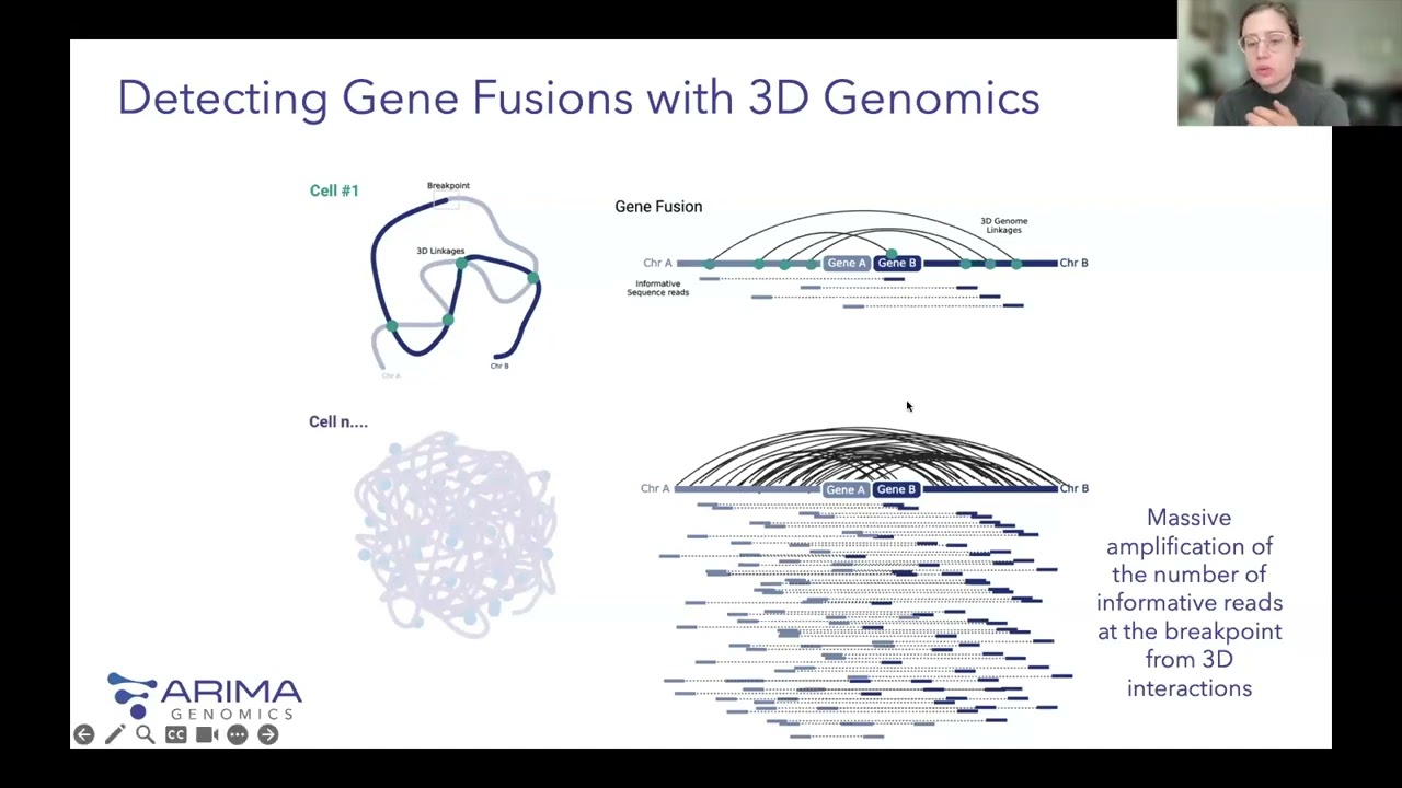 A Deep Dive on Structural Variant Analysis with the Arima Bioinformatics Platform