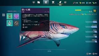 悪魔も泳ぐんだってぇ？