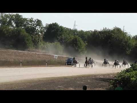 Trka "Lingar" 19.09.2021 Dream Catcher - Vladimir Pribić