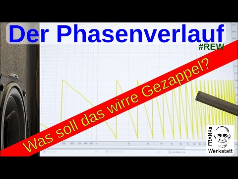 ELENDES GEZAPPEL | Phasenverlauf einfach erklärt #REW