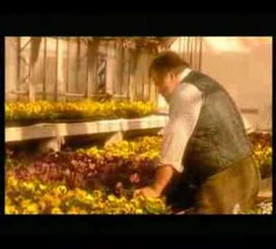 Gal in Galeristi - Poglej ven, dežuje