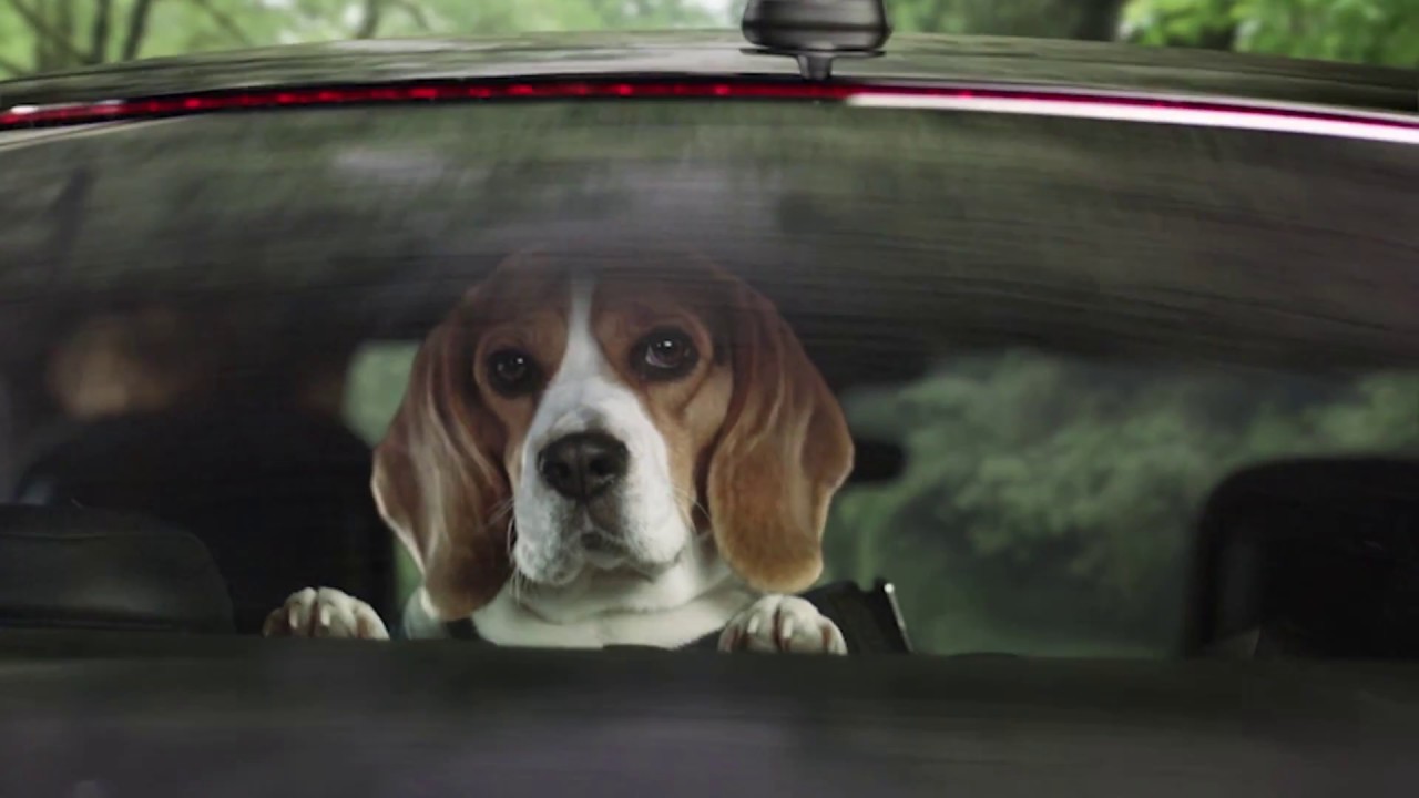 VIDEO: Tlumiče od Audi originální díly