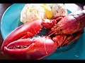 Answers News Marijuana For Lobsters September 24 2018