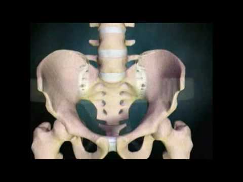 Sacroiliac joint animation