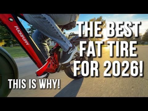 Puckipuppy Golden R Pro - The E-bike That Changed My Mind About Fat Tire Bikes