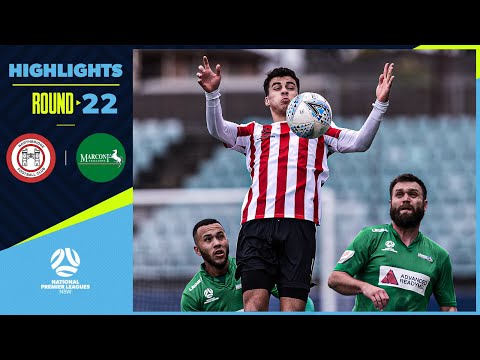 NPL NSW Men's Round 22 – Northbridge Bulls v Marconi Stallions