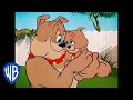 Tom y Jerry en Latino | Spike, el Padre del Año | WB Kids