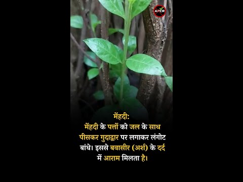Treatment of Piles with Natural and Home Remedies Mehndi #antipiles #pilesclinic #pilescare #piles