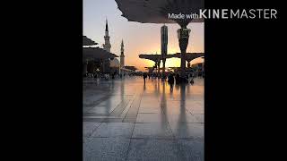 صورة منتقى الفوائد 28 ( فضل الهجرة ) للشيخ عبدالرحمن المرشود .