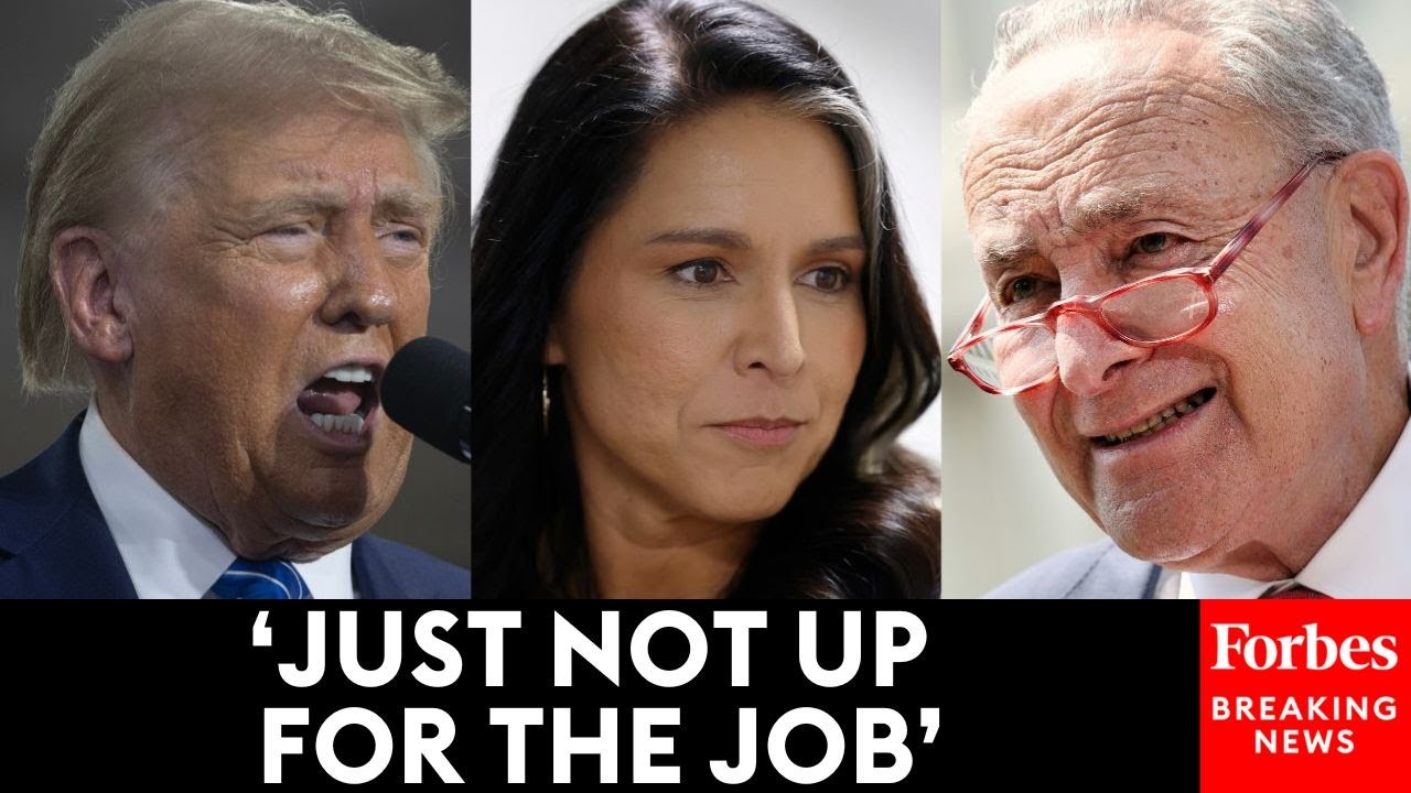 JUST IN: Chuck Schumer Assails Trump's Cabinet Nominees: 'Seems Likely" Some Of Them Fail On The Job