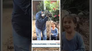 Hombre llora al recibir noticia migratoria que le permite volver a su casa | Not