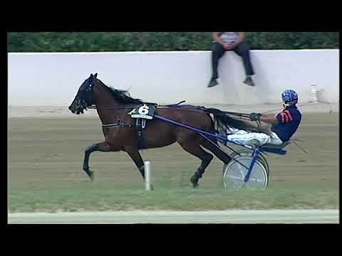 Napoli Trotto 10/09/2021 - 1ª corsa