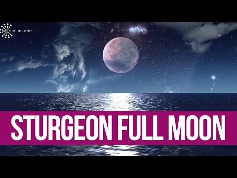 🌚    Rare Full Blue Moon MEDITATION  I August 22 , 2021