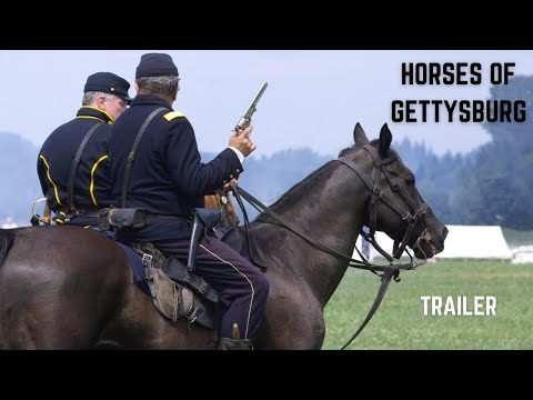 Horses of Gettysburg (Full Trailer)