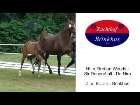 Hf v Bretton Woods x Sir Donnerhall x De Niro 2018