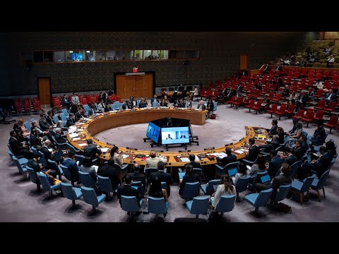 UN Security Council meets on Venezuela