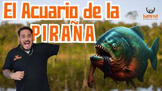La INSTALACIÓN del ACUARIO de la PIRAÑA | La Remodelación del ESTUDIO