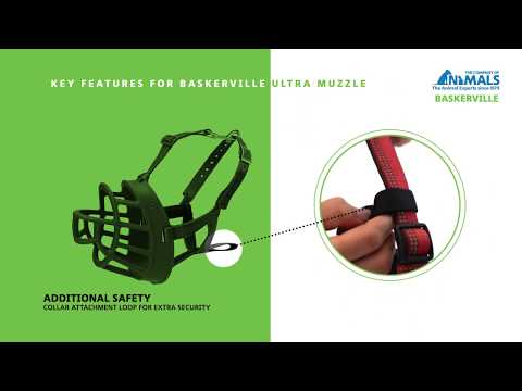 How to Fit the Baskerville Ultra Muzzle