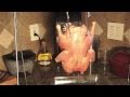 Cantonese BBQ Duck