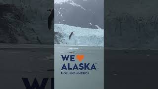 WOW! Glacier Viewing on Holland America’s Alaska Route 🌄🧊