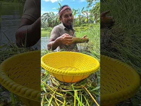 🐟 কখনো দেখেছেন  এভাবে মাছ ধরতে? ⚡#FishingLife #YouTubeShorts #ShortsFeed #RuralLife