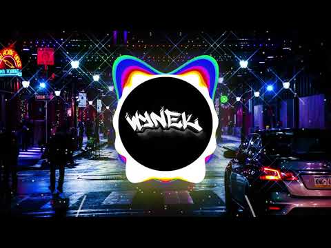 David Guetta Vs Wiwek - Ain't A Party Vs Trouble (Wynek Mashup)