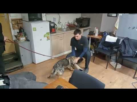 Krixus z Jukasu - 2nd protection training - 4 months