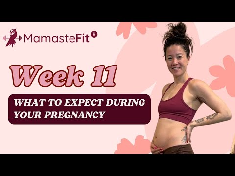 Week 11: What to Expect During Your Pregnancy + Gina's Pregnancy Journey!