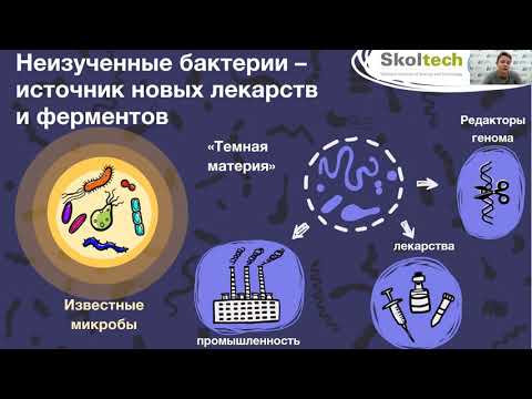 Онлайн-встреча «Проект «Атлас микробных сообществ Российской Федерации»