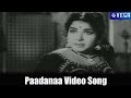 Gandikota Rahasyam Movie Paadanaa Video Song