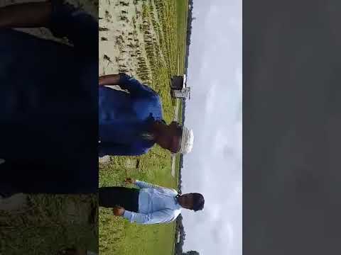 কম্বাইন হারভেস্টার এর মাধ্যমে ধান কর্তন।