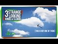 3 Strange-Looking Kinds of Clouds 