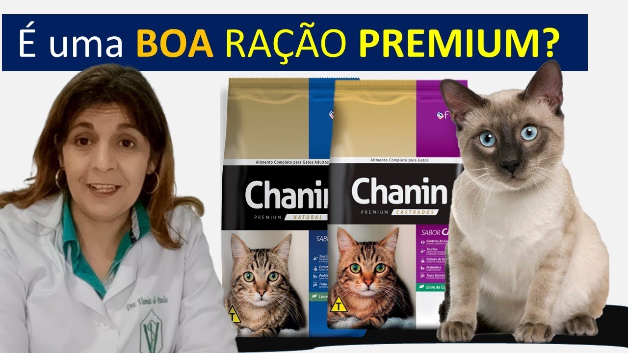 Ração Chanin Gato Castrado é Boa? Ração Chanin Peixe é uma boa ração Premium?Pet Vida Saudável