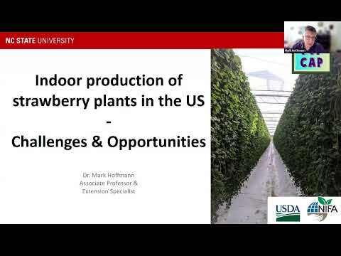 #85 Indoor Production of Strawberry Plants in the U.S. - Challenges and Opportunities